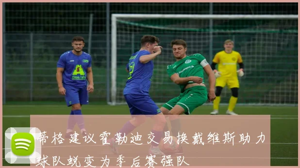 蒂格建议霍勒迪交易换戴维斯助力球队蜕变为季后赛强队