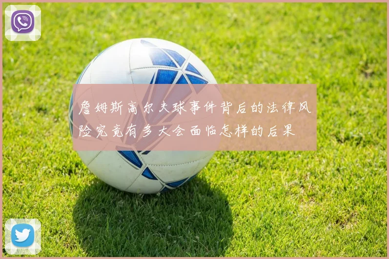 詹姆斯高尔夫球事件背后的法律风险究竟有多大会面临怎样的后果
