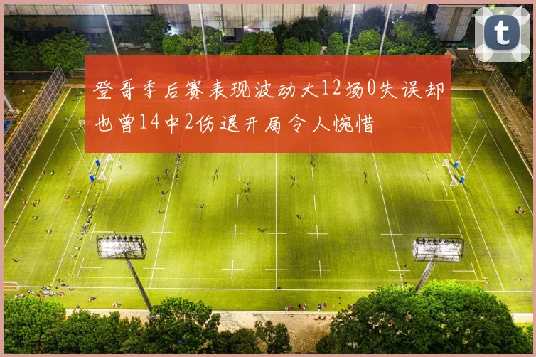 登哥季后赛表现波动大12场0失误却也曾14中2伤退开局令人惋惜